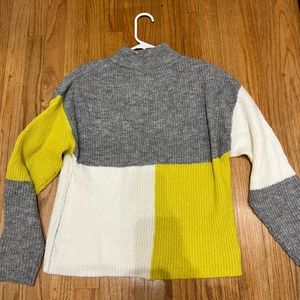 Abound Color Block Crewneck Sweater